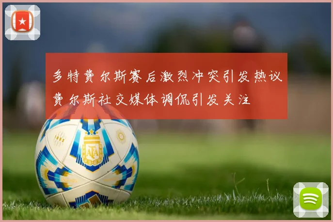 多特费尔斯赛后激烈冲突引发热议费尔斯社交媒体调侃引发关注